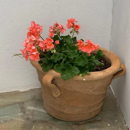 Irenes House Vakantiehuis Piso Livadi