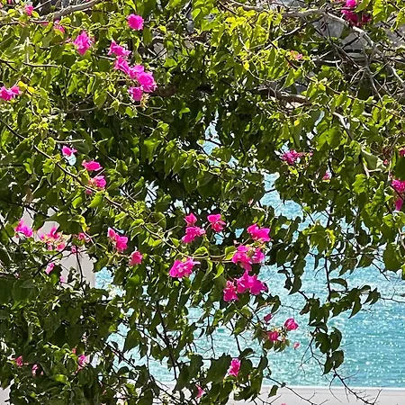 Irenes House * Piso Livadi