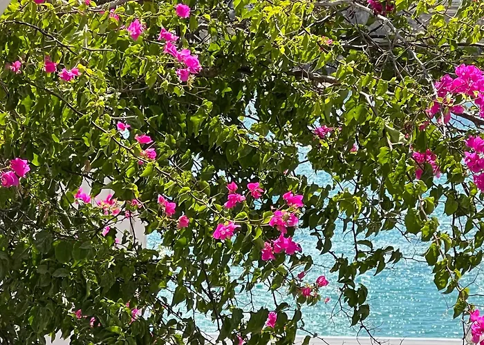 Irenes House * פיסו ליבאדי